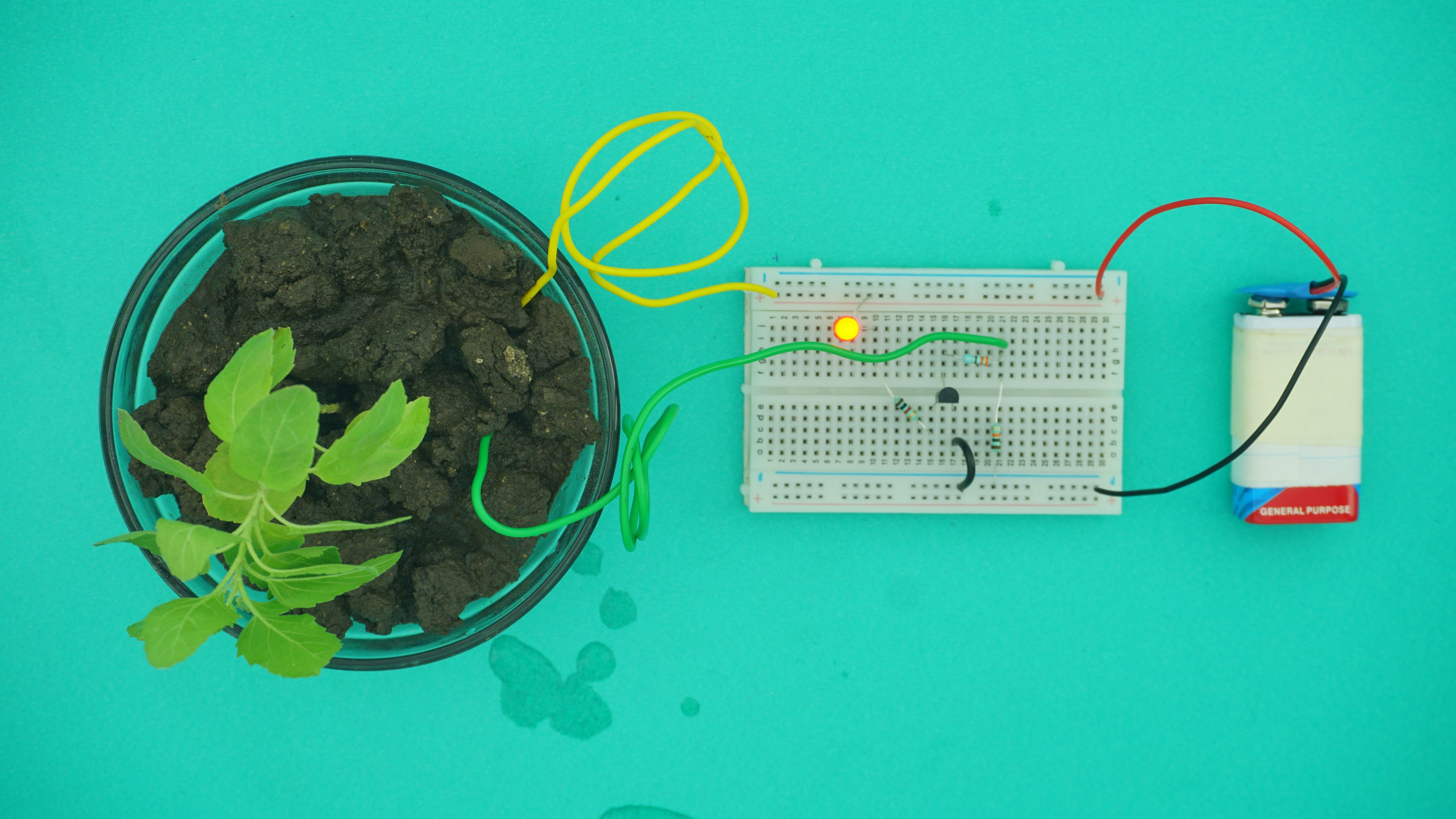 Tree Need Water Indicator on Breadboard